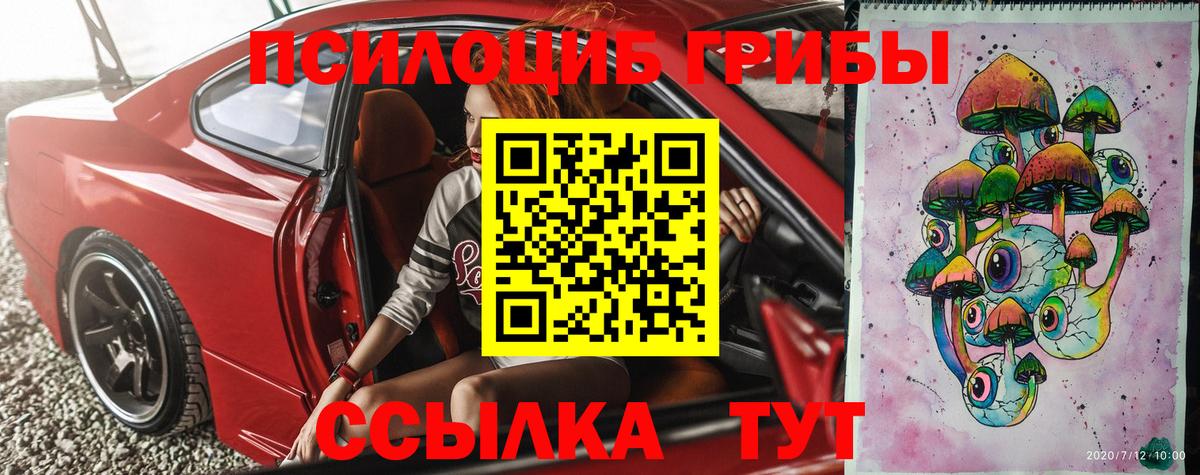 Псилоцибиновые грибы Cubensis Россошь