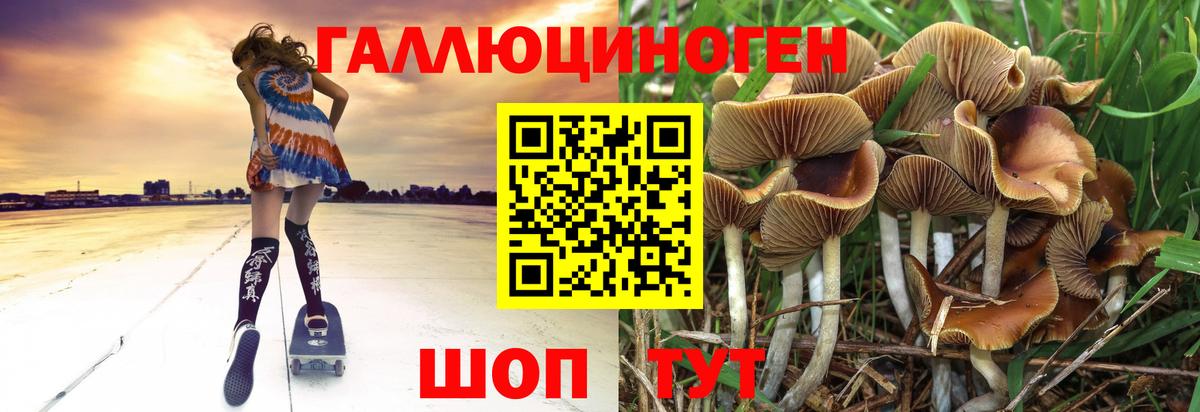 где найти   Псилоцибиновые грибы MAGIC MUSHROOMS  Вход с VPN  Россошь 